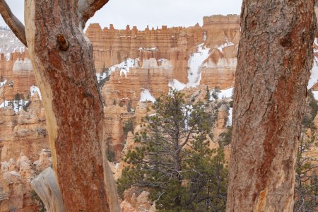 Bryce Canyon